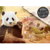 Pairi Daiza